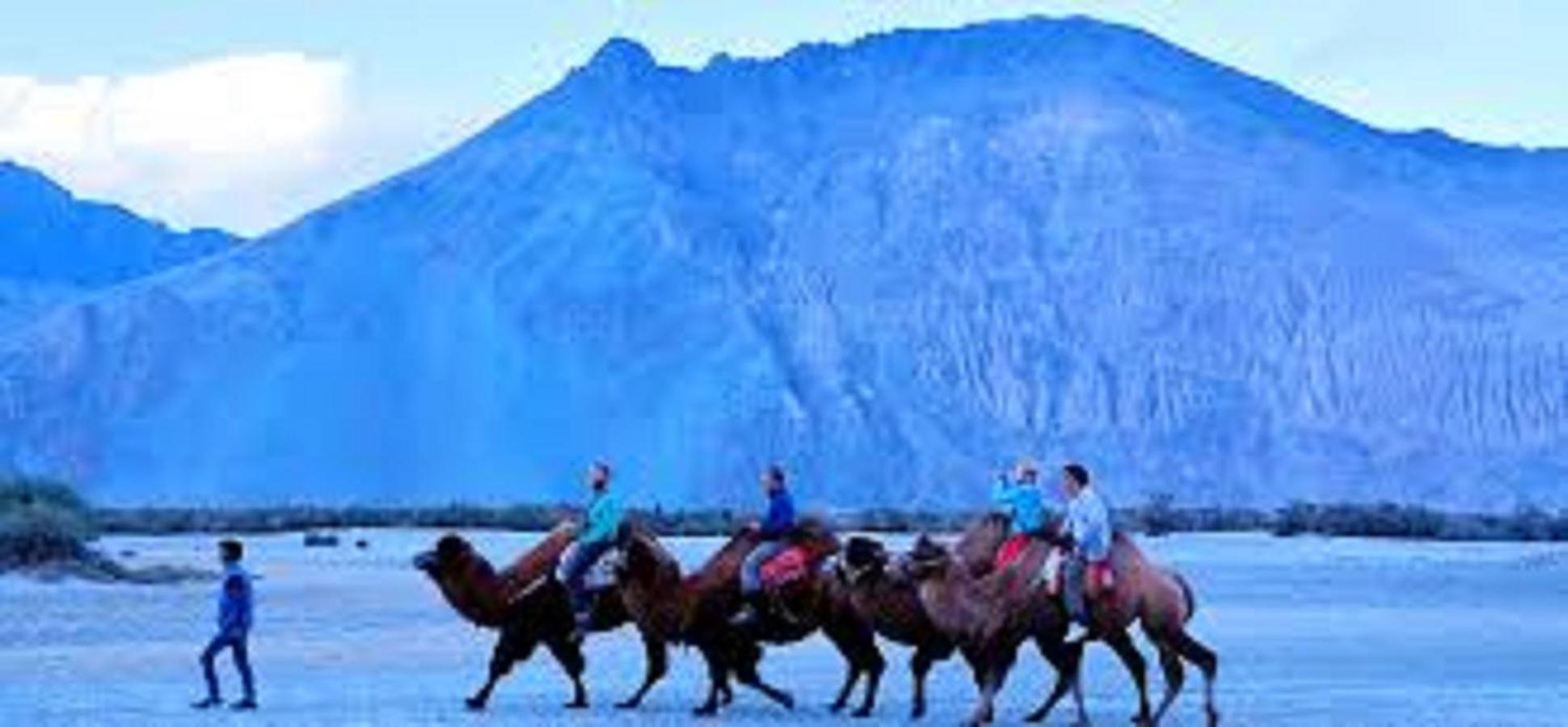 The Sky Desert ,Hunder , Nubra Hotel Charasa Luaran gambar